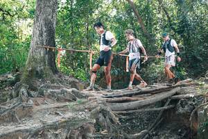 BIB: 
                            <button type="button" onclick="openModal(27743794)" class="btn btn-primary btn-sm float-right btn-popup" data-toggle="modal" data-target=".modal-high-quality">
                        <i class="fas fa-shopping-cart"></i> Add to Cart
                    </button>
                                            <button type="button" onclick="isThisMe(27743794, true)" class="btn btn-success btn-sm float-right btn-popup btn-isme hidden" data-toggle="tooltip" data-placement="bottom" title="นี่คือรูปของคุณใช่ไหม คลิกที่นี่เพื่อเอาเข้าอัลบั้ม">
                        <i class="fas fa-plus"></i> Add to album
                    </button>
                    <button type="button" onclick="isThisMe(27743794, false)" class="btn btn-warning btn-sm float-right btn-popup btn-isnotme hidden">
                        <i class="fas fa-ban"></i> Remove from album
                    </button>